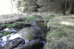 8. Upstream from White Water bridge ROW No. 3382