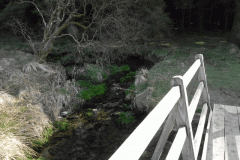 9. Looking Upstream from White Water bridge ROW No. 3382