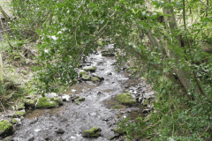 1. Downstream from Whiteoaks