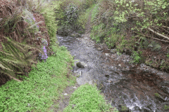 10. Hawkcombe Ford