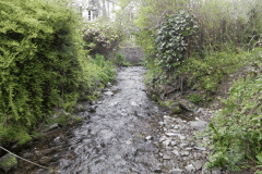 11. Looking downstream from Hawkcombe Ford