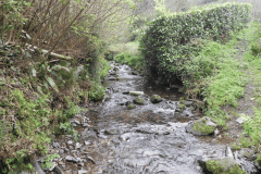 12. Looking upstream Hawkcombe Ford
