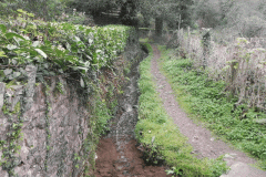 14. Waters from Ley Combe join