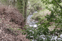 3. Downstream from Whiteoaks