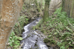 4. Downstream from Whiteoaks
