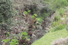 40. Upstream from Hawkcombe Mill