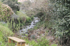 41. Upstream from Hawkcombe Mill
