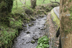 5. Downstream from Whiteoaks