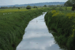 11.-Upstream-from-Whites-River-Bridge-A