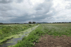 20.-Looking-Upstream-from-Whites-River-Footbridge