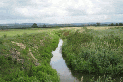 22.-Looking-upstream-James-Wear-River-from-join-with-Whites-River