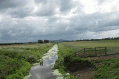 27.-Looking-upstream-from-Whites-River-Footbridge