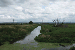 29.-Decoy-Rhine-from-Whites-River