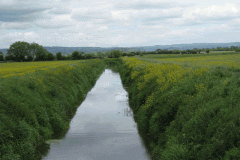 3.-Looking-Upstream-from-Whites-River-Bridge-A