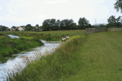 38.-Looking-downstream-to-River-Brue-join