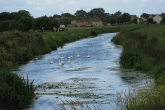 41.-River-Brue-at-join-with-Whites-River