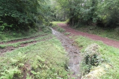 Whitley Brake to Muddymoor 