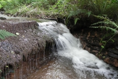10. Weir ownstream from ROW Bridge 4641