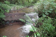 11. Weir ownstream from ROW Bridge 4641