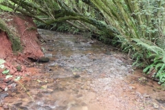 12. Weir ownstream from ROW Bridge 4641