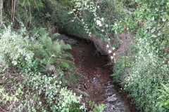 35. Upstream from Bilbrook
