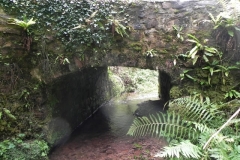 5. ROW Bridge 4641 Downstream Arch