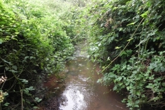 66. Looking downstream from Black Monkey Lane footbridge