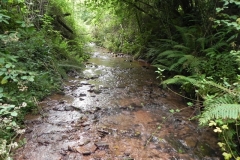 7. Downstream from ROW Bridge 4641  (1)