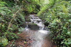 7. Downstream from ROW Bridge 4641  (11)