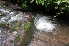 7. Downstream from ROW Bridge 4641  (12)