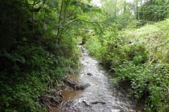 7. Downstream from ROW Bridge 4641  (2)