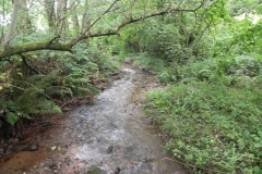 7. Downstream from ROW Bridge 4641  (3)