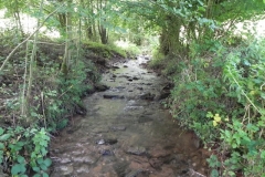 7. Downstream from ROW Bridge 4641  (4)
