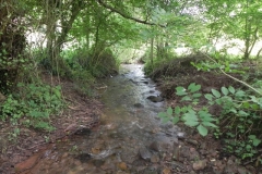 7. Downstream from ROW Bridge 4641  (5)