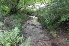 7. Downstream from ROW Bridge 4641  (6)