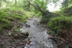 7. Downstream from ROW Bridge 4641  (8)