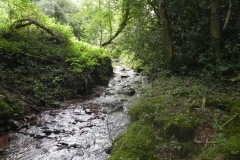 7. Downstream from ROW Bridge 4641  (9)