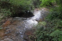 8. Weir ownstream from ROW Bridge 4641