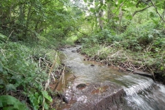 9. Weir ownstream from ROW Bridge 4641