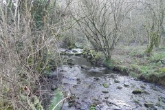 11. Downstream from ROW Bridge  (1)