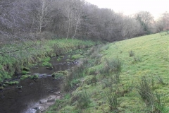 11. Downstream from ROW Bridge  (2)