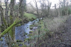 11. Downstream from ROW Bridge  (3)