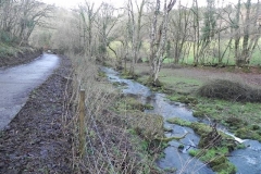 11. Downstream from ROW Bridge  (4)
