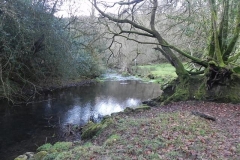 11. Downstream from ROW Bridge  (6)