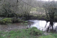 11. Downstream from ROW Bridge  (7)