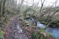 18. Upstream from Wimbleball Lake Accommodation Bridge (4)