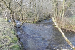 27. Confluence with River Pulham