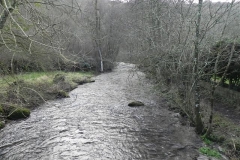 31. Looking downstream from ROW bridge 2124  (2)