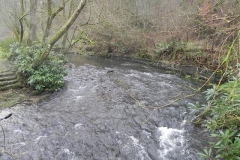 37.  Looking upstream from Hartford Mutton Pie Footbridge