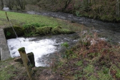 47. Hartford Trout Farm Pond Outlet to River Haddeo (3)